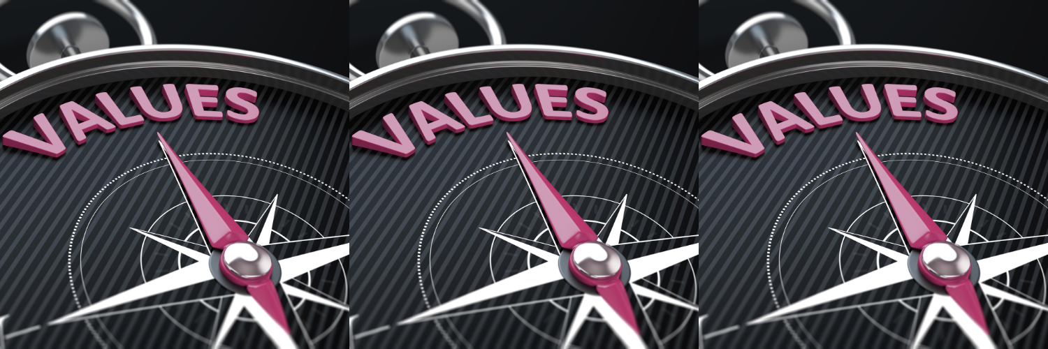 Values compass banner